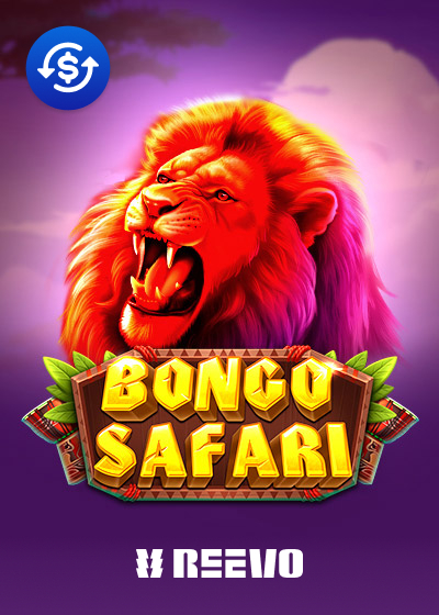 Bongo Safari